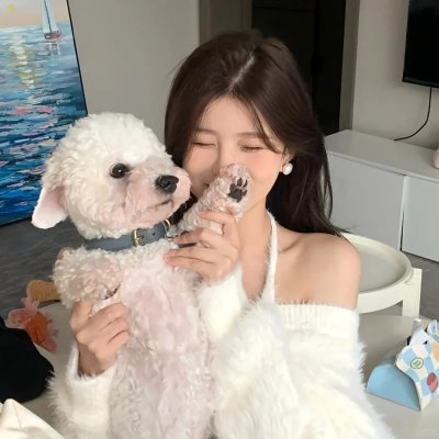 洛基第五集：龙吟虎啸