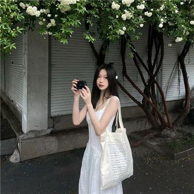 金毛喜迎冬